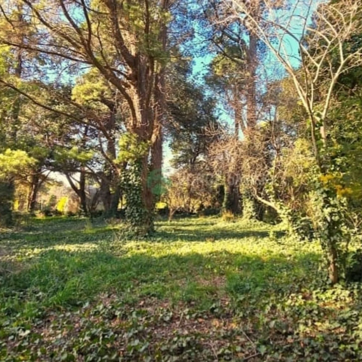 Lote ubicado en Villa Ventana